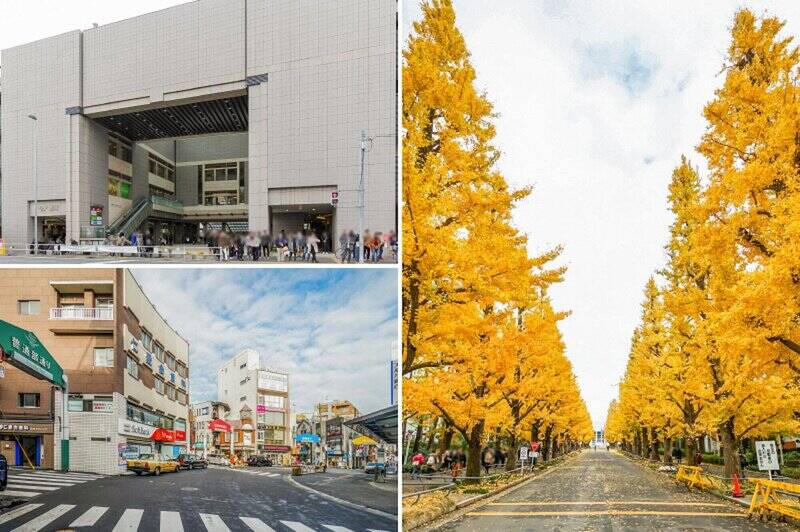<b>左上・</b>最寄りは、東急東横線・目黒線・新横浜線・横浜市営地下鉄グリーンラインの4路線を利用できる「日吉」駅。「横浜」「渋谷」「池袋」まで乗り換えなしでアクセス可能です。（徒歩19分）／<b>左下・</b>駅西口からは、放射状に賑やかな商店街が広がっています。／<b>右・</b>駅東口の前に、ドーンと構える名門「慶應義塾大学 日吉キャンパス」。銀杏並木は紅葉の名所として有名です。（徒歩22分）。