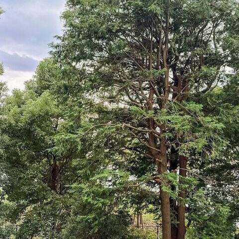 レベント等々力の室内写真