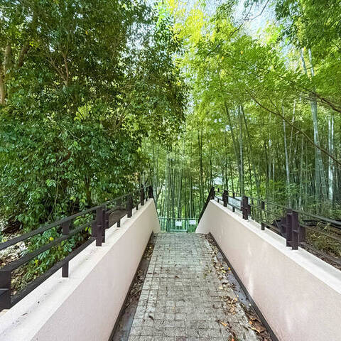 アルスあざみ野の建物・共用部写真