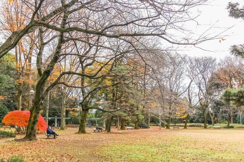 最後に訪れたのは、徒歩7分の「駒場公園」。旧加賀藩主・前田家の邸宅跡地で、昭和初期に建てられた洋館や和館が残されています。洋館の前に広がる芝庭や、木々に囲まれた日本庭園も見どころです。