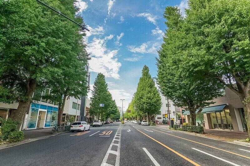 今回ご紹介する物件は、イチョウ並木が美しい外苑西通り・通称 “プラチナ通り” が生活圏に。四季の移ろいを感じる並木道沿いには、日々の食事や買い物を彩るお店が揃っています。
