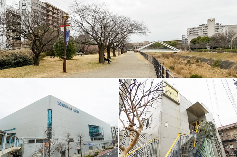 <b>上・</b>鶴見川の支流である鳥山川沿いに広がる「新横浜駅前公園」までは徒歩14分。また少し足を延した先にある「新横浜駅前公園」内には、横浜最大級のドッグランもありますよ（徒歩30分）。／<b>左下・</b>「横浜アリーナ」が徒歩圏内。ライブやイベントも、帰りの移動を気にせず思い切り楽しめそうですね。（徒歩5分）／<b>右下・</b>地元で愛されるパン屋さん「Champs de ble（シャン ド ブレ）」。朝食用の食パンを買いに行くのが楽しみになりそう。（徒歩3分）