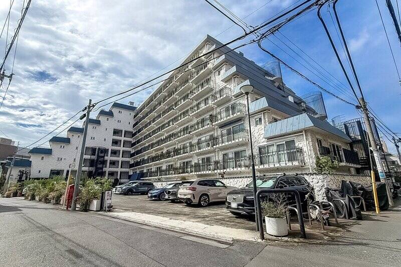 <p>青い瓦屋根に白いスタッコ調の塗り壁が特徴的なヴィンテージマンション <b>“秀和レジデンスシリーズ” </b>。総戸数は202戸の大規模マンションで、重厚感ある外観に見惚れてしまいます……!</p>