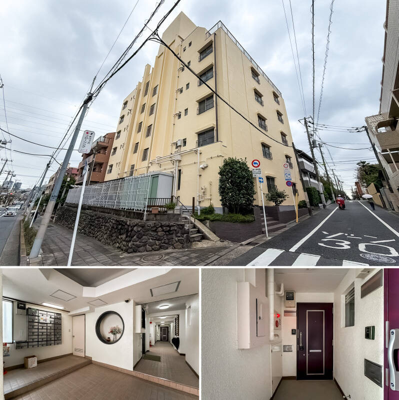 龍雲寺通り沿いに佇む、1970年竣工のマンション。2020年の玄関ドア改修工事、2025年の大規模修繕工事など建物のメンテナンスが適宜実施されており、共用部はきれいに保たれている印象です。今回ご紹介した住戸は2階の角に所在します。<p><br></p><p>■ 総戸数：24戸</p><p>■ 管理員：日勤（月・木 7:30〜11:30／火・金 8:00〜12:00）</p><p>■ ペット：1住戸につき犬・猫2匹まで飼育可（細則あり）</p><p>■ 駐輪場：有（月額300円・小学生までは無償）</p>