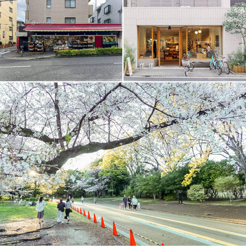 <p><b>左上・</b>建物のすぐ隣にある「信濃屋 野沢店」（徒歩1分）。選りすぐりの生鮮食品やワイン、輸入グロサリーが充実しており、日々の買い出しが格段に楽しくなりそう。／<b>右上・</b>「学芸大学」駅近くに立地する「FOOD &amp; COMPANY（フードアンドカンパニー）」（徒歩17分）。オーガニック食材やこだわりの調味料が並び、休日の散策ついでに立ち寄りたくなるスポットです。／<b>下・</b>豊かな緑が広がる「駒沢オリンピック公園」（徒歩17分）。ジョギングやピクニック、愛犬とのお散歩など、都心近くにいながら心地よい自然を満喫できます。</p>