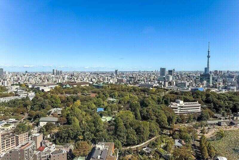 北東向きの窓の先には、青い空とグリーンが広がっています！ 右手には「東京スカイツリー」の姿も。