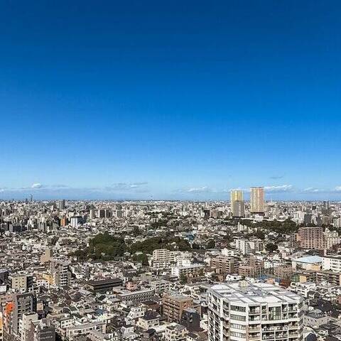 ルネッサンスタワー上野池之端の眺望・バルコニー写真