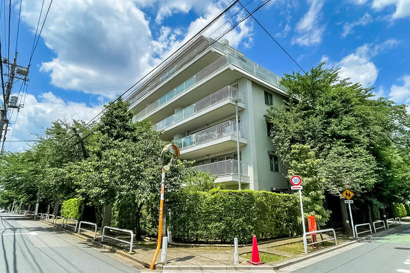 1970年竣工、全4棟・総戸数206戸の大規模マンション。設計は<b>「日建設計」</b>、施工は<b>「鹿島建設」</b>。現在も数々のランドマークを手掛ける両社が、当時このマンションの設計・施工を担いました。