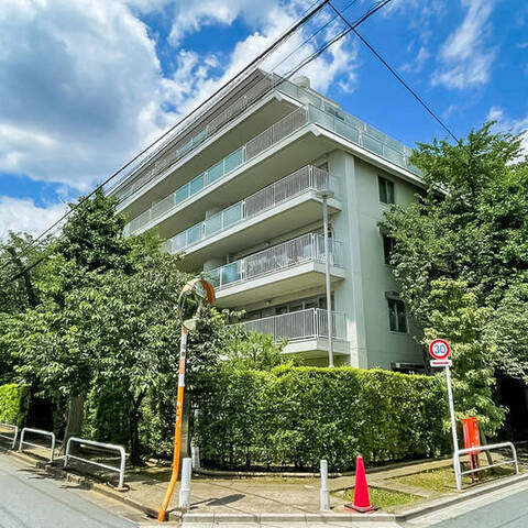 白鷺ハイム(1〜4号棟)の建物・共用部写真