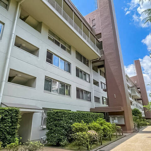白鷺ハイム(1〜4号棟)の建物・共用部写真