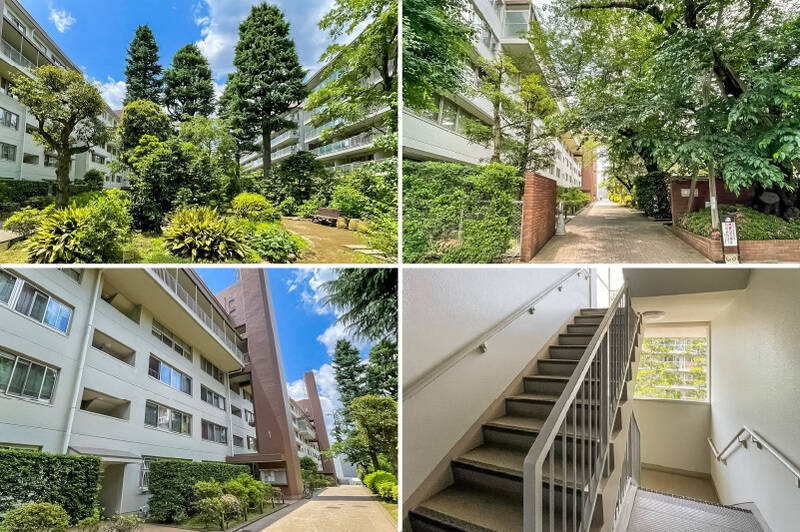 敷地内にはさまざまな植栽があり、歩くだけで森林浴気分を味わえそう。桜やヒマラヤスギなど、竣工当時から残る木々がマンションのシンボルとなっています。